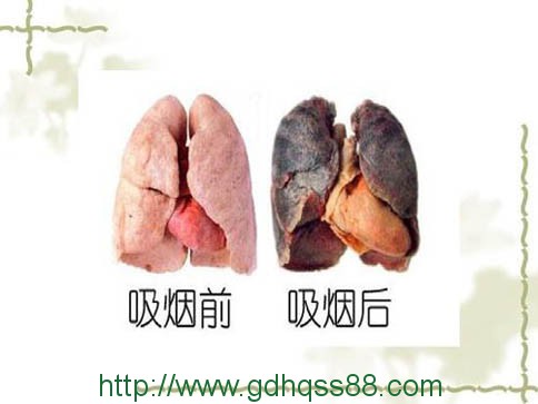 蔬菜配送、食堂承包