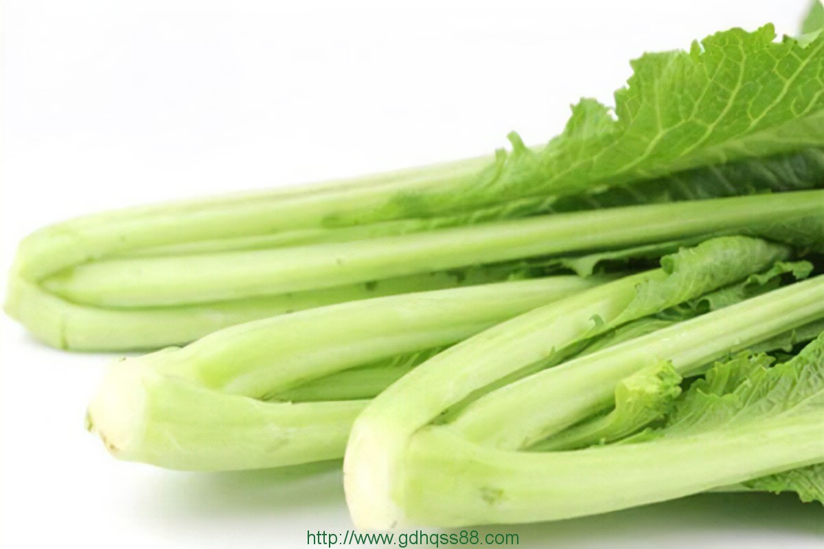 蔬菜配送、食堂承包